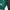 Green jacket with Starter logo next to a maroon jacket on a white background