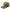 Camouflage and brown cap with Vans 'Off The Wall' logo on a white background