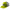 Yellow cap with gray mesh back and Vans Off The Wall logo on a white background