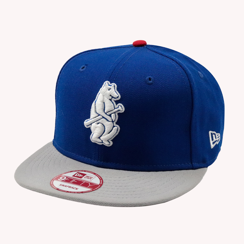 New 2024 cubs hat