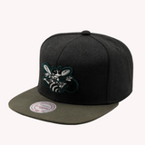 Mitchell and Ness Charlotte Hornets Snapback Hats