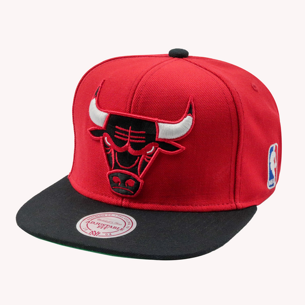 Mitchell and Ness Chicago Bulls Big Logo NBA Snapback Hat